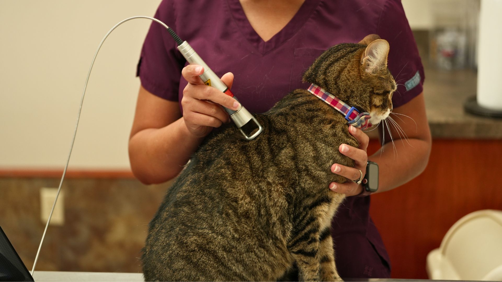 Laser Therapy